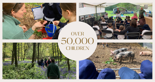 Celebrating 50,000 Young Minds Inspired: The Heart of Our Education Project