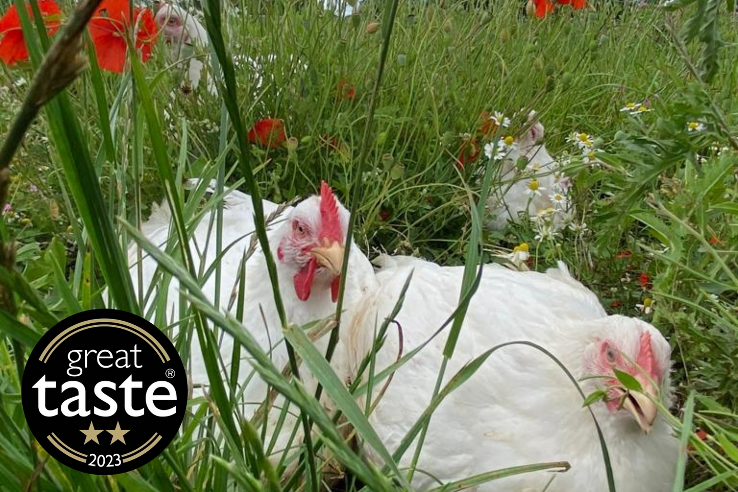 Free Range Chicken Legs - Pack of 2