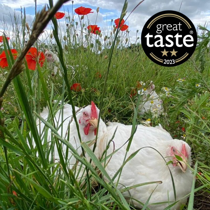 Free Range Chicken Fillets - Pack of 2