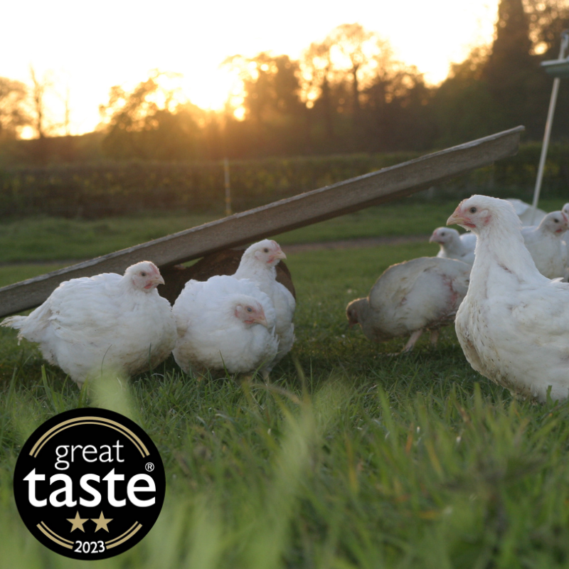 Free Range Cockerel - Frozen