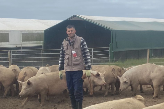 Meet The Farmer: Pigs