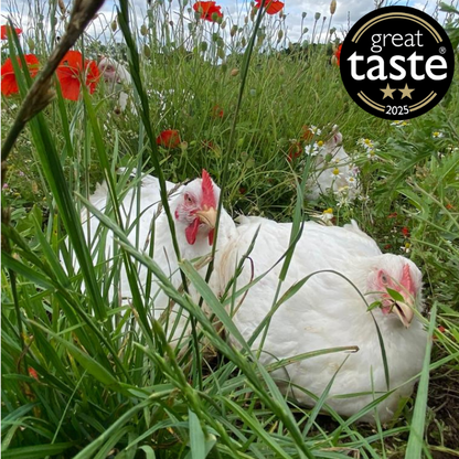 Free Range Chicken Wings - Pack of 6